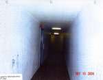 Toronto slum landlord pictures