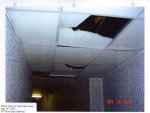 Toronto slum landlord pictures
