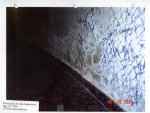 Toronto slum landlord pictures
