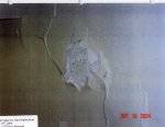 Toronto slum landlord pictures
