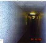 Toronto slum landlord pictures