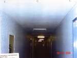 Toronto slum landlord pictures
