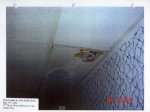 Toronto slum landlord pictures