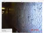Toronto slum landlord pictures
